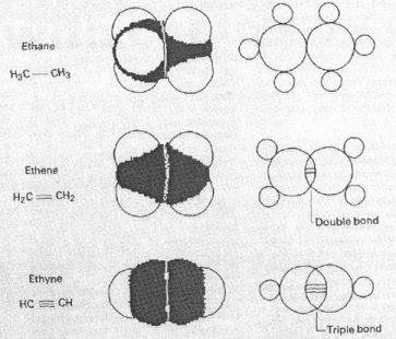 Picture Showing Bonds